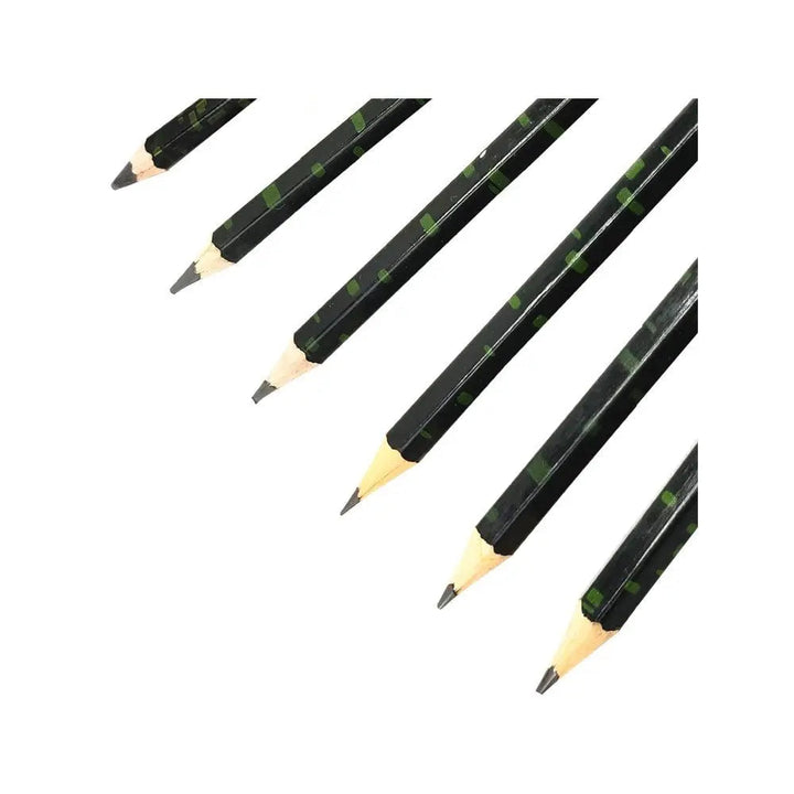 Camel Camlin High Quality Drawing Pencils-Set of 6